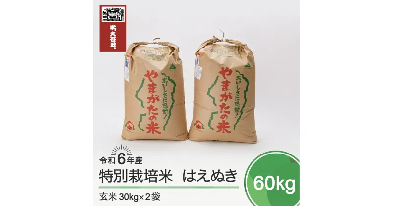 【ふるさと納税】 米 新米 令和6年産 はえぬき 60kg 大石田町産 特別栽培米 玄米 送料無料 ※沖縄・離島への配送不可 ja-hagxb60