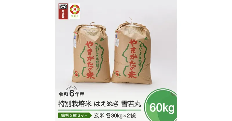 【ふるさと納税】 米 新米 令和6年産 はえぬき 雪若丸 各30kg 計60kg 大石田町産 特別栽培米 玄米 送料無料 ※沖縄・離島への配送不可 ja-hygxb60