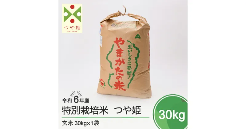 【ふるさと納税】 米 新米 令和6年産 つや姫 30kg 大石田町産 特別栽培米 玄米 送料無料 ※沖縄・離島への配送不可 ja-tsgxb30