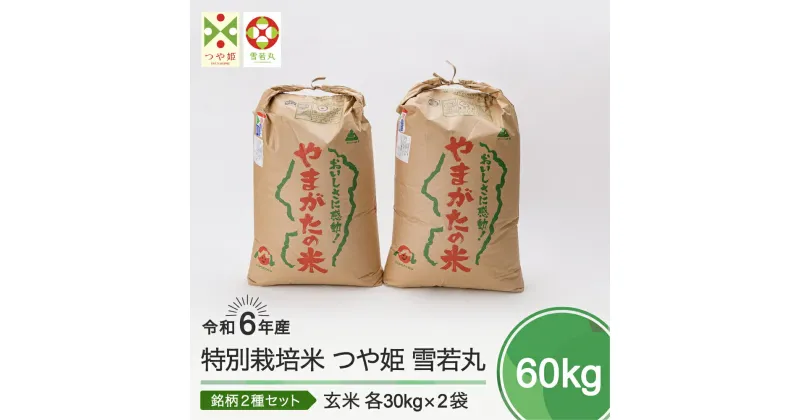 【ふるさと納税】 米 新米 令和6年産 つや姫 雪若丸 各30kg 計60kg 大石田町産 特別栽培米 玄米 送料無料 ※沖縄・離島への配送不可 ja-tygxb60