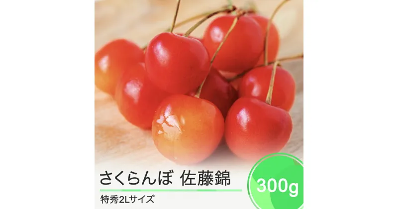 【ふるさと納税】先行予約 さくらんぼ 佐藤錦 特秀2Lサイズ プレゼント ギフト 化粧箱鏡詰め 300g 2025年産 山形県産 送料無料 サクランボ