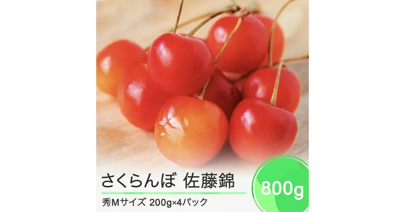 【ふるさと納税】先行予約 さくらんぼ 佐藤錦 秀Mサイズ 800g (200gx4パック) フードパック 2025年産 山形県産 送料無料 サクランボ