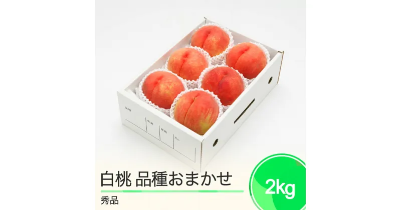 【ふるさと納税】もも 白桃 秀品 品種おまかせ 化粧箱入り 約2kg 2025年産 送料無料 フルーツ 果物 大石田 ns-mohtx2※沖縄・離島への配送不可