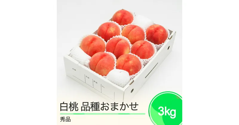 【ふるさと納税】先行予約 もも 白桃 秀品 品種おまかせ 化粧箱入り 約3kg 2025年産 送料無料 フルーツ 果物 大石田 ns-mohtx3※沖縄・離島への配送不可