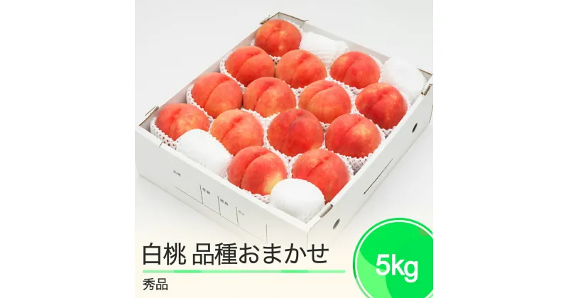 【ふるさと納税】もも 白桃 秀品 品種おまかせ 化粧箱入り 約5kg 2025年産 送料無料 フルーツ 果物 大石田 ns-mohtx5※沖縄・離島への配送不可