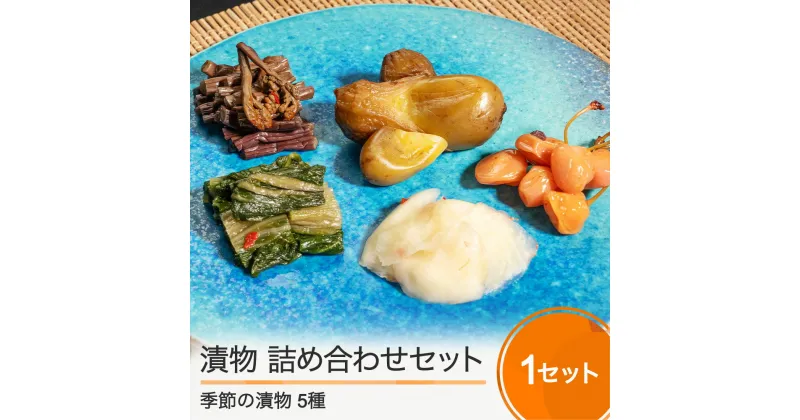 【ふるさと納税】季節の漬物 詰め合わせセット 5種 つけもの 漬け物 国産 山形 大石田 ギフト 食べ物 贈り物 お取り寄せ おつまみ 酒の肴 ご飯の供 ご当地 なす ぺそら漬 大根 わらび 青菜 やたら漬 きゅうり 菊 赤かぶ たくあん