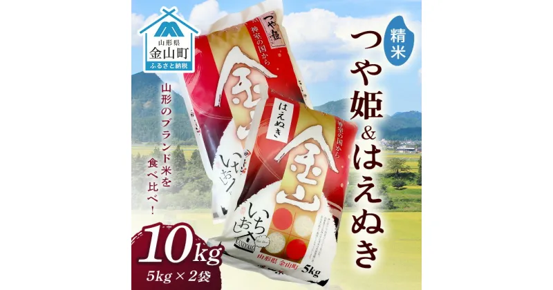 【ふるさと納税】 金山産米「つや姫5kg」+「はえぬき5kg」【精米】 計10kg 米 お米 白米 ご飯 精米 ブランド米 はえぬき つや姫 送料無料 東北 山形 金山町 令和6年産 F4B-0560