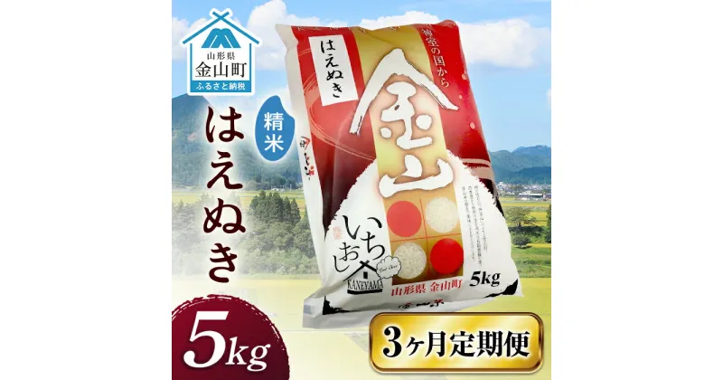 【ふるさと納税】 令和6年産 金山産米 はえぬき 【精米】（5kg）×3ヶ月 計15kg 定期便 米 お米 白米 ご飯 精米 ブランド米 送料無料 東北 山形 金山町 F4B-0534