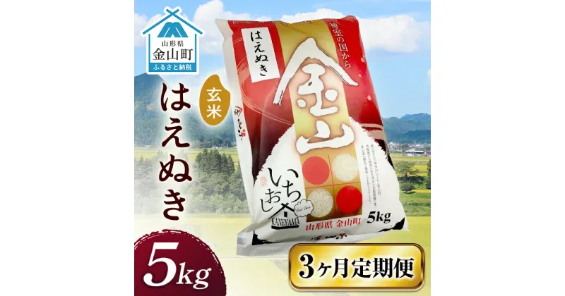 【ふるさと納税】 令和6年産《定期便》 金山産米 はえぬき【玄米】（5kg）×3ヶ月計15kg 定期便 3ヶ月 米 お米 ご飯 玄米 ブランド米 送料無料 東北 山形 金山町 F4B-0525