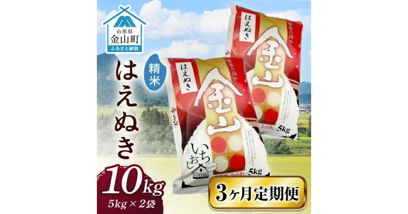 【ふるさと納税】 令和6年産 金山産米 はえぬき 【精米】（5kg×2袋）×3ヶ月 計30kg 定期便 米 お米 白米 ご飯 ブランド米 送料無料 東北 山形 金山町 F4B-0532