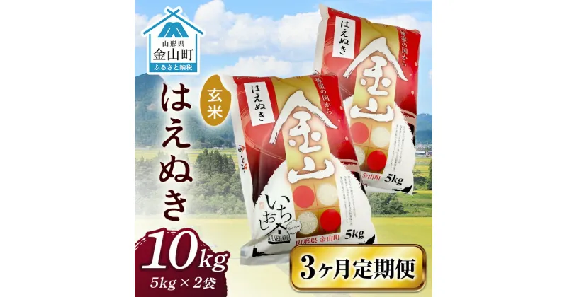 【ふるさと納税】 令和6年産《定期便》 金山産米 はえぬき【玄米】（5kg×2袋）×3ヶ月計30kg 定期便 3ヶ月 米 お米 ご飯 玄米 ブランド米 送料無料 東北 山形 金山町 F4B-0523