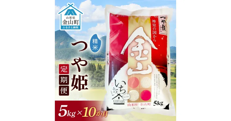 【ふるさと納税】 令和6年産《定期便》金山産米 つや姫 【精米】5kg×10ヶ月 計50kg 10ヶ月 米 お米 白米 ご飯 精米 ブランド米 つや姫 送料無料 東北 山形 金山町 F4B-0511