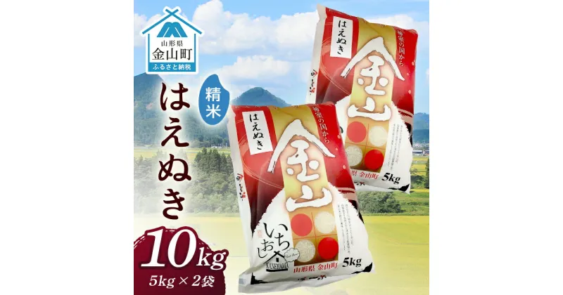 【ふるさと納税】 令和6年産 金山産米 はえぬき 【精米】（5kg×2袋） 計10kg 米 お米 白米 ご飯 精米 ブランド米 送料無料 東北 山形 金山町 F4B-0531