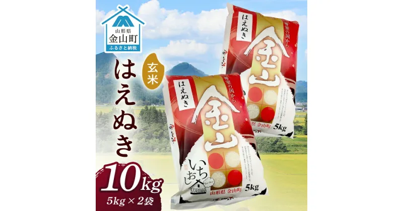 【ふるさと納税】 令和6年産 金山産米 はえぬき【玄米】（5kg×2袋） 計10kg 米 お米 ご飯 玄米 ブランド米 送料無料 東北 山形 金山町 F4B-0522