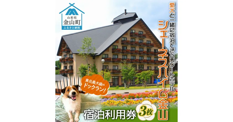 【ふるさと納税】【愛犬と一緒に宿泊できるリゾートホテル】ホテルシェーネスハイム金山宿泊利用券 F4B-0456