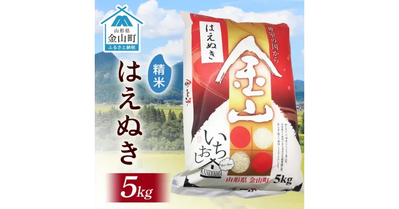 【ふるさと納税】 令和6年産 金山産米 はえぬき 【精米】（5kg）米 お米 白米 ご飯 精米 ブランド米 送料無料 東北 山形 金山町 F4B-0562