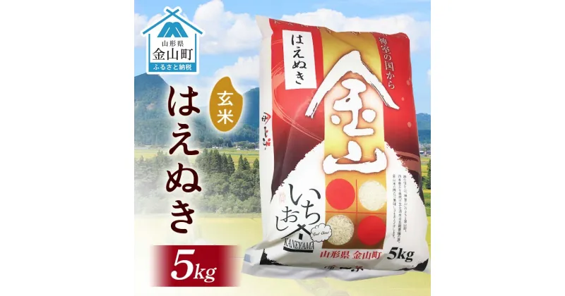 【ふるさと納税】 令和6年産 金山産米 はえぬき 【玄米】（5kg）米 お米 ご飯 玄米 ブランド米 送料無料 東北 山形 金山町 F4B-0563