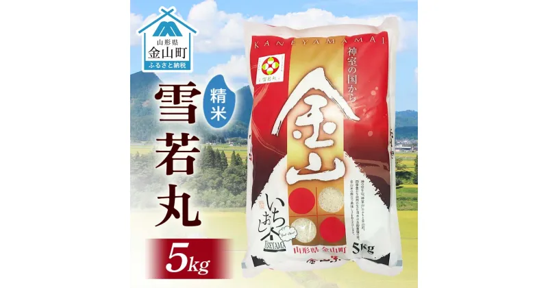 【ふるさと納税】 令和6年産 金山産米 雪若丸 【精米】（5kg）米 お米 白米 ご飯 精米 ブランド米 送料無料 東北 山形 金山町 F4B-0564