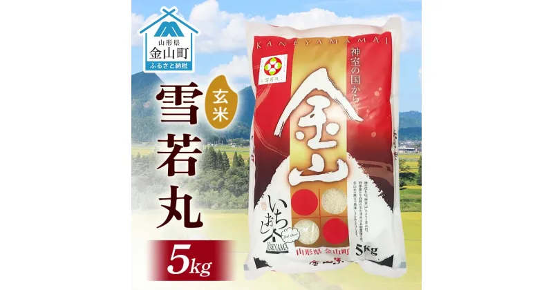 【ふるさと納税】 令和6年産 金山産米 雪若丸 【玄米】（5kg）米 お米 ご飯 玄米 ブランド米 送料無料 東北 山形 金山町 F4B-0565