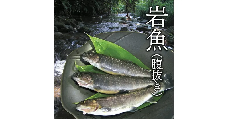 【ふるさと納税】西塚農場産 岩魚冷凍10尾(腹抜き)