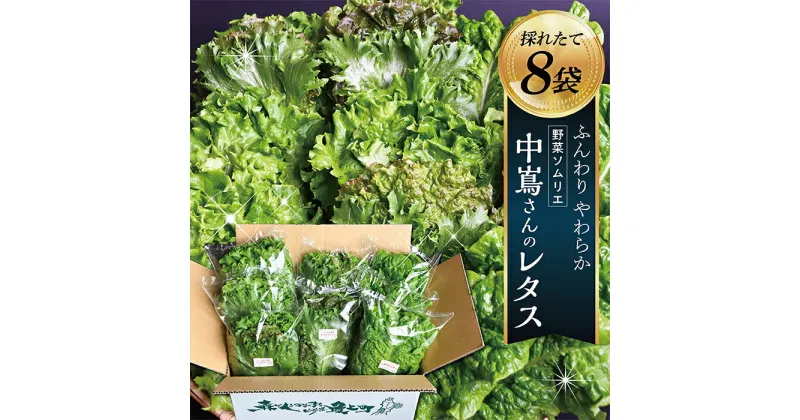 【ふるさと納税】野菜ソムリエ中嶌さんのレタスセット