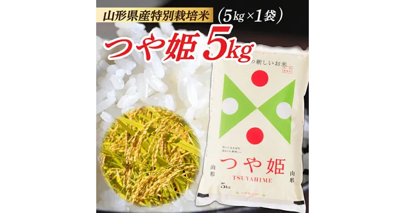 【ふるさと納税】【令和6年産】山形県産 特別栽培米 つや姫5kg (5kg×1袋)