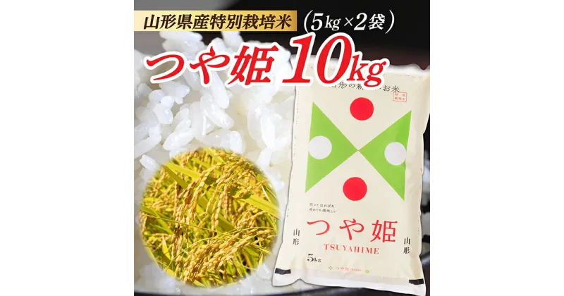 【ふるさと納税】【令和6年産】山形県産 特別栽培米 つや姫10kg (5kg×2袋)