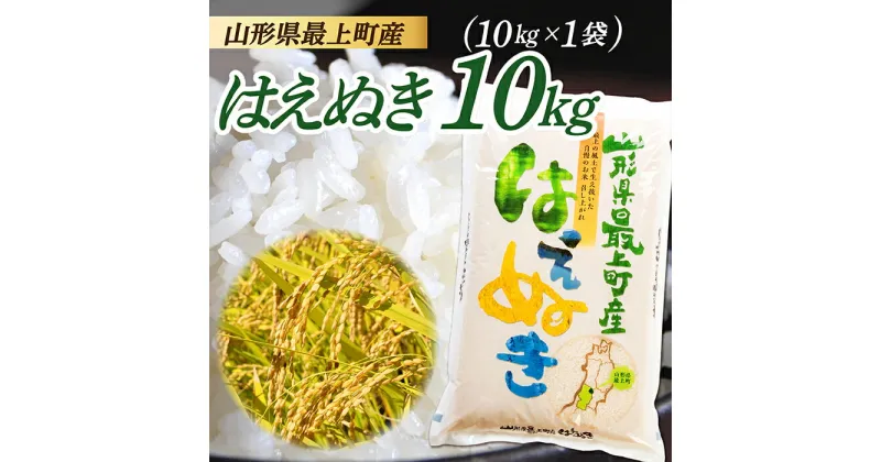 【ふるさと納税】【令和6年産】山形県産 はえぬき 10kg（10kg×1袋）