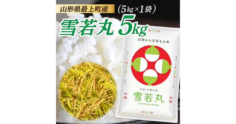 【ふるさと納税】【令和6年産】 山形県産 雪若丸 5kg (5kg×1袋)