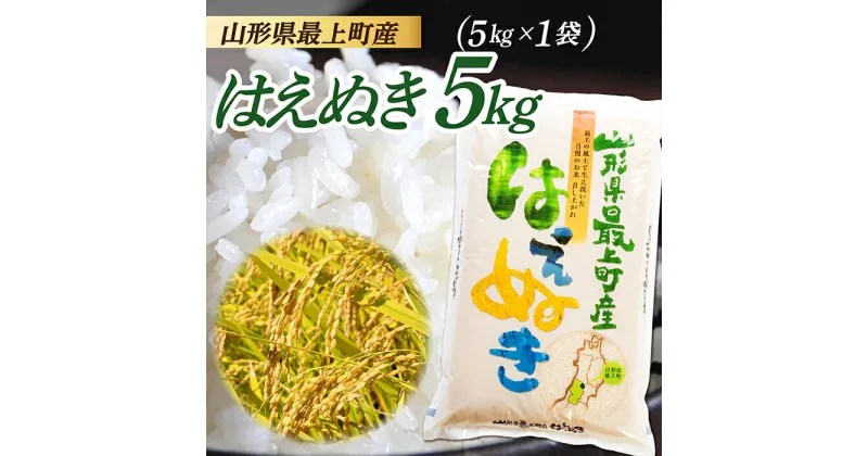 【ふるさと納税】【令和6年産】山形県産 はえぬき 5kg (5kg×1袋)