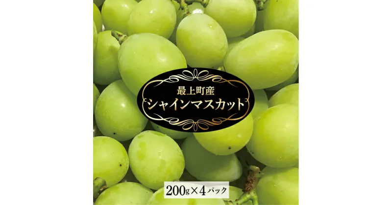 【ふるさと納税】【予約返礼品】最上町産 シャインマスカット200g×4P