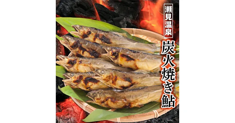 【ふるさと納税】炭火焼き 鮎 セット