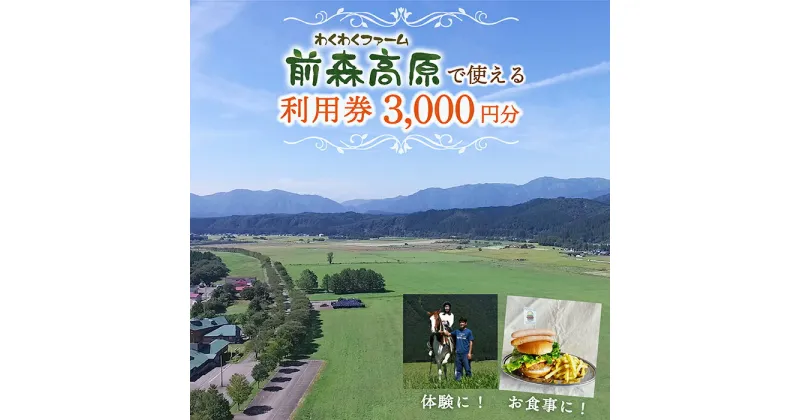 【ふるさと納税】前森高原 利用券 3000円分