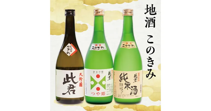 【ふるさと納税】瀬見温泉の地酒「このきみ」飲み比べセット