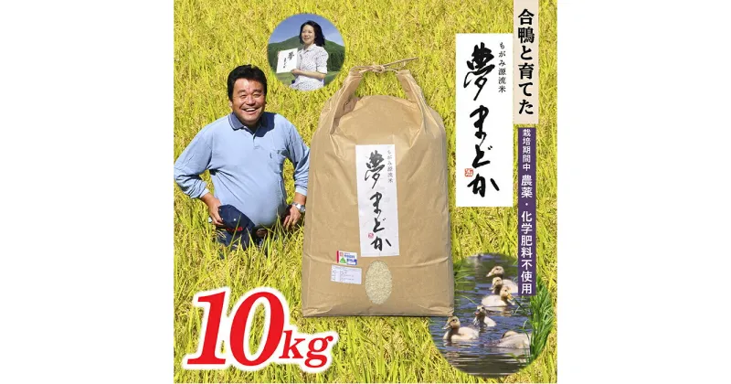 【ふるさと納税】【希少品種】【令和6年産】特別栽培米　夢まどか10kg