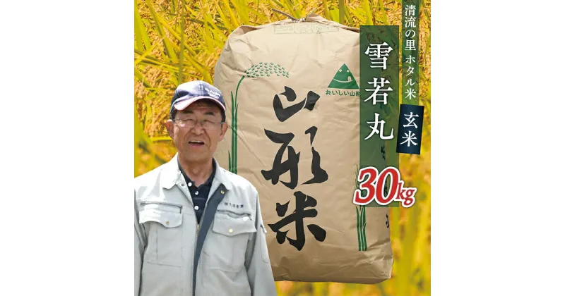 【ふるさと納税】令和6年産【玄米】最上町産 ホタル米雪若丸30kg×1袋