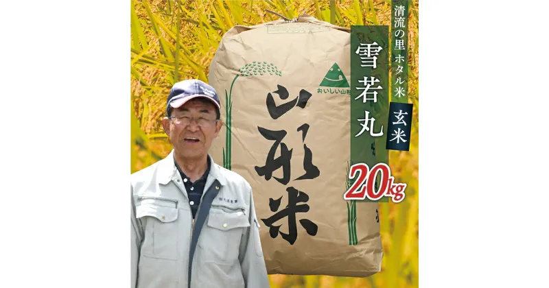 【ふるさと納税】令和6年産【玄米】最上町産 ホタル米雪若丸20kg×1袋