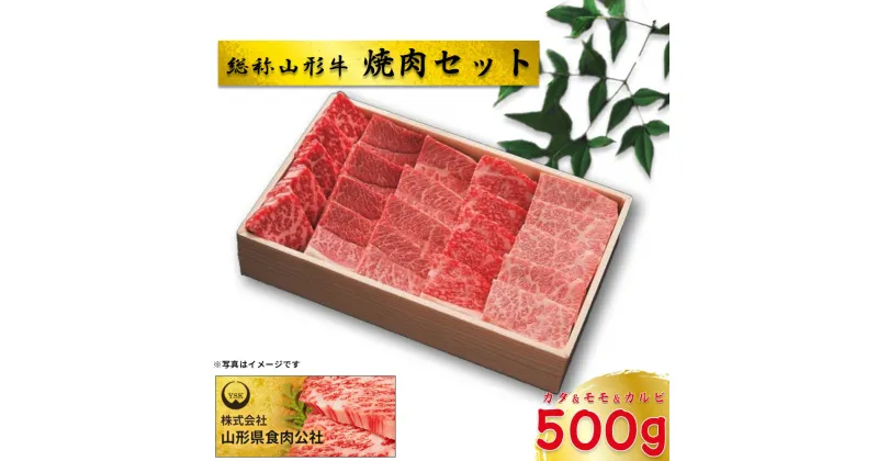 【ふるさと納税】総称山形牛　焼肉セット　500g　肉 牛肉 カタ モモ カルビ 焼肉 山形牛 ブランド牛 グルメ ギフト 御馳走 ご褒美 もがみ中央農業協同組合　【06363-0143】