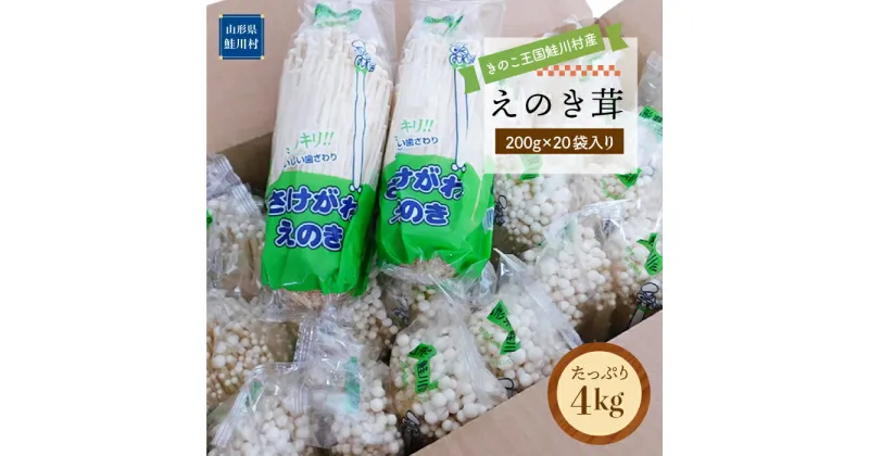 【ふるさと納税】きのこ王国鮭川村産 ［えのき茸］ たっぷり4kg（200g×20袋入り）