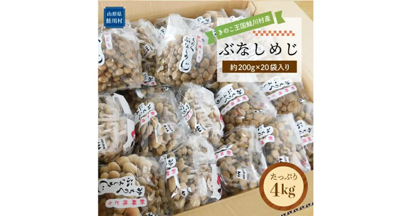 【ふるさと納税】きのこ王国鮭川村産 ［ぶなしめじ］ たっぷり4kg（約200g×20袋入り）