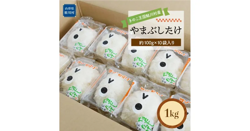 【ふるさと納税】きのこ王国鮭川村産 ［やまぶしたけ］ 1kg（約100g×10袋入り）