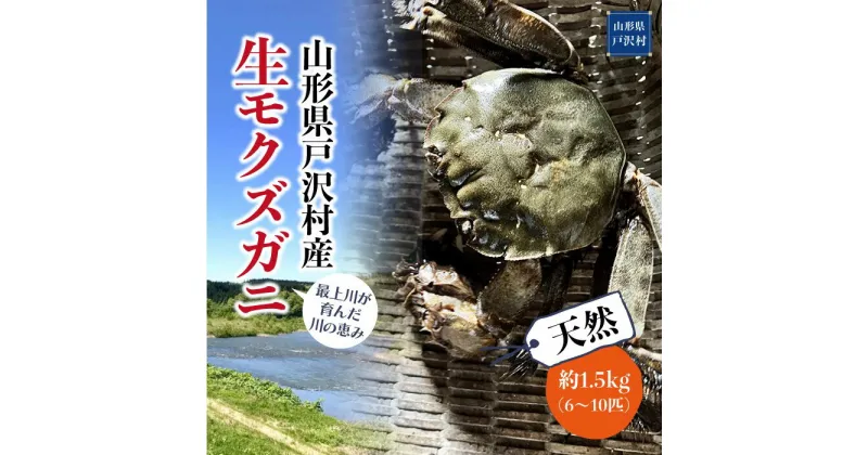 【ふるさと納税】山形県戸沢村産　生モクズガニ　約1.5kg（6～10匹）