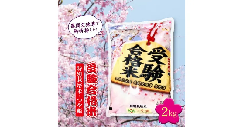 【ふるさと納税】《先行予約》令和4年度産 日本三文殊 亀岡文殊 受験合格米（特別栽培米 つや姫） F20B-099