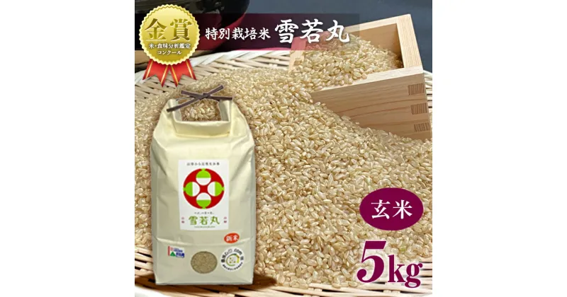 【ふるさと納税】【令和6年産】米・食味分析鑑定コンクール金賞受賞生産者が作る 雪若丸5kg（特別栽培米）【玄米】 | ふるさと納税 米 つや姫 高級 玄米 山形 高畠町 2024 ふるさと 人気 送料無料 F21B-135