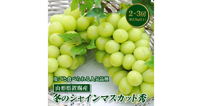 【ふるさと納税】 《先行予約》山形県置賜産 冬のシャインマスカット 秀2～3房（約1.5kg以上） F20B-246