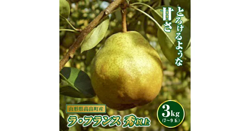 【ふるさと納税】《先行予約》山形県高畠町産 ラ・フランス7～9玉（3kg） F20B-254