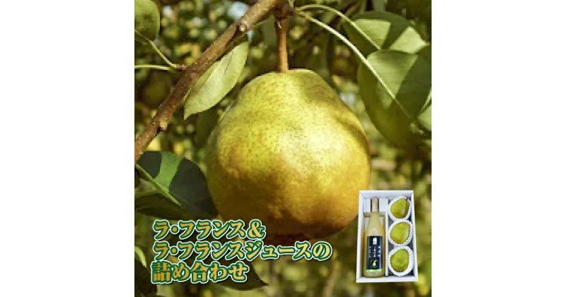 【ふるさと納税】《先行予約》山形県高畠町産 ラ・フランス ジュース＆詰め合わせ F20B-255