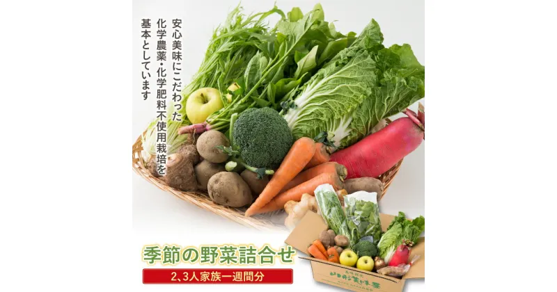 【ふるさと納税】 ≪先行予約≫山形県産 季節の野菜詰合せ 約2~3人家族一週間分 2024年8月上旬から順次発送 野菜 やさい 果物 くだもの 詰合せ 盛合せ セット 自宅 家庭 季節限定 期間限定 山形県 高畠町 F20B-245