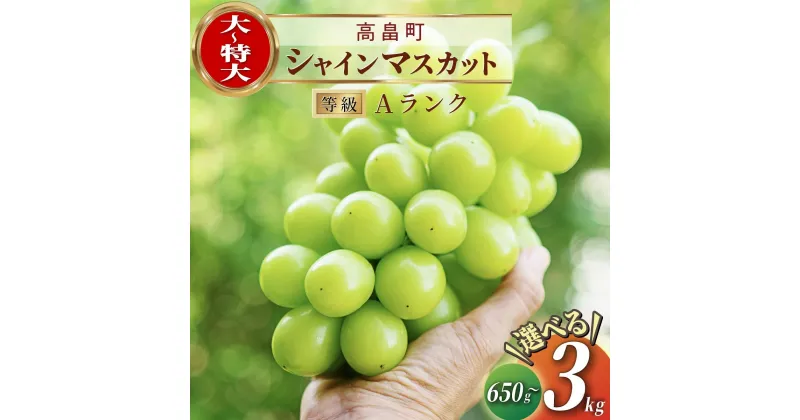 【ふるさと納税】【総合ランキング 上位入賞】配送時期が選べる シャインマスカット マスカット 650g 1房 1.5kg 2~3房 3kg 4~6房 | ふるさと納税 ぶどう シャイン マスカット 高級 葡萄 果物 フルーツ 農家直送 箱詰 山形県 高畠町 人気 ランキング 送料無料 F21B-125var