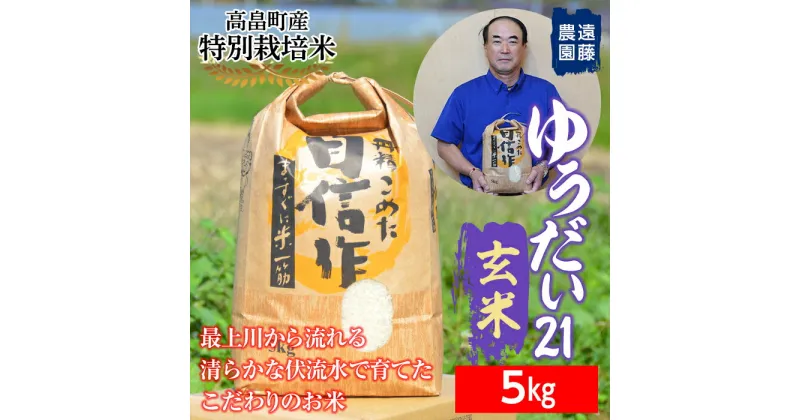 【ふるさと納税】 【遠藤農園】令和6年度 山形県高畠町産 特別栽培米 ゆうだい21 玄米5 kg(1袋) 米 お米 おこめ ごはん ブランド米　産地直送 農家直送 F21B-173